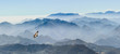 gleitender Geier in den Gipfeln der Picos de Europa in Asturien (Spanien)