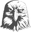 Eagle Silhouettes Vector - Front View
