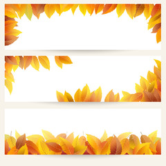 Wall Mural - set of three vector banners with autumn leaves