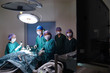 © nimon_t - group of veterinarian surgery in operation room
