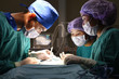 © nimon_t - group of veterinarian surgery in operation room