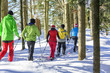 canvas print picture - Ausflug in den Winterwald mit Schneeschuhen