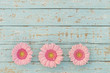 Grußkarte Romantisch mit Rosa Blüten auf Shabby Holz Türkis
