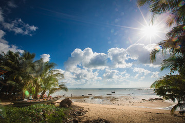 Wall Mural - Sunset over the tropical beach. 