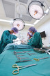 © nimon_t - group of veterinarian surgery in operation room
