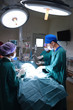 © nimon_t - group of veterinarian surgery in operation room