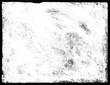 © akamaraqu - Border
