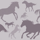 Fototapeta Konie - A repeating illustration of horse silhouettes all in shades of grey