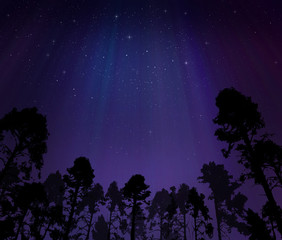 Wall Mural - Night sky with northern lights