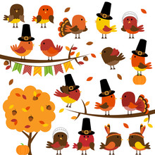 Vector Collection Of Cute Thanksgiving And Autumn Birds