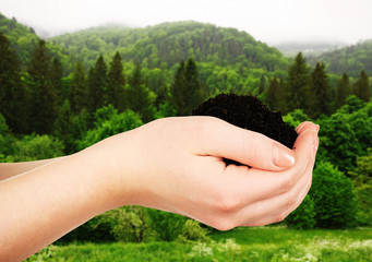 Wall Mural - Female hand with soil on nature background