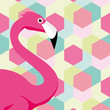 Colourful Flamingo Pattern
