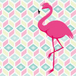 colourful Flamingo Pattern