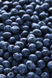 Fototapeta Mapy - Blueberries background, close up, tasty and sweet