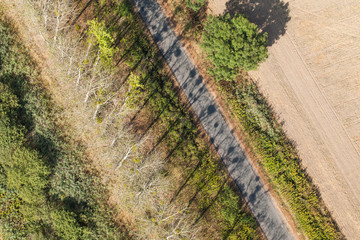 aerial view of village road and harvest fields