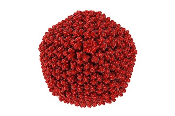 Adenovirus type 5 which causes respiratory infections isolated on white background. A model is built using data of viral macromolecular structure from Protein Data Bank (PDB 3IYN)