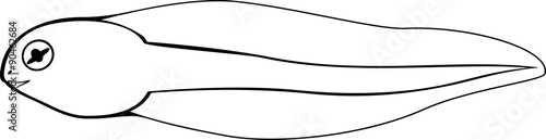 Coloring Page Tadpole Buy This Stock Vector And Explore