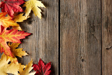 Autumn Maple Leaves Over Wooden Background
