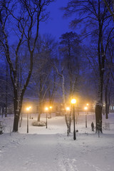 Wall Mural - Footpath in a fabulous winter city park