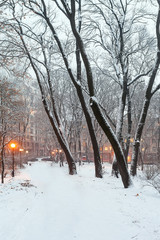 Wall Mural - Footpath in a fabulous winter city park