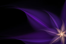 Primitive Purple Fractal Flower Illustration Over Black Backgrou