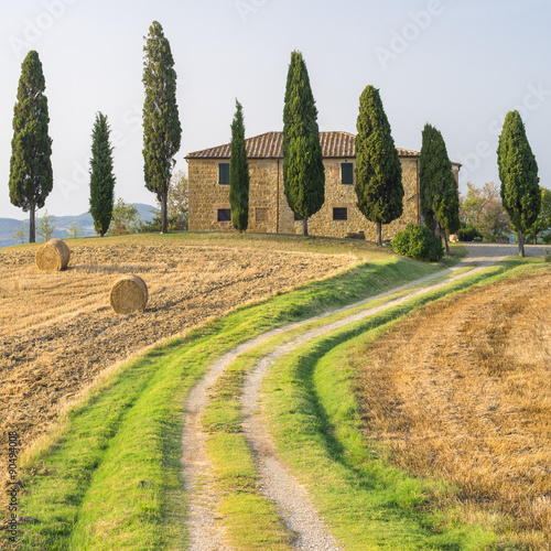 Naklejka na drzwi road to farm in Tuscany in Italy