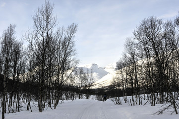 Paisagem de inverno