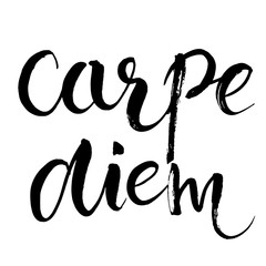 Wall Mural - Carpe diem - latin phrase means Capture the moment