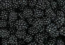Blackberry Bramble Berry Background Texture Juicy Summer Fruit