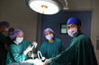© nimon_t - group of veterinarian surgery in operation room