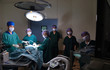 © nimon_t - group of veterinarian surgery in operation room