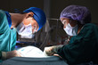 © nimon_t - two veterinarian surgeons in operating room