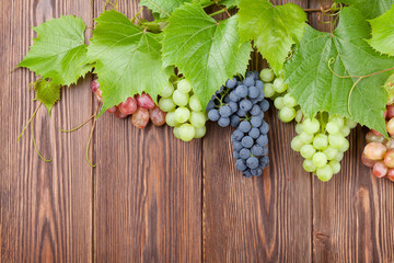 Wall Mural - Bunch of red, purple and white grapes