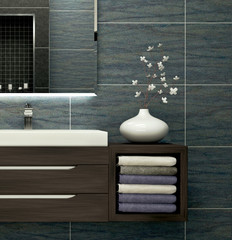 Modern interior design of bathroom (3d Render)