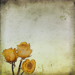 Vintage background with dried roses and old paper