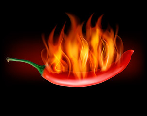 Wall Mural - Red hot chili pepper on fire. Vector.