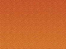 Reptile Skin Texture Or Background