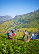 Sri Lankan Women Picking Tea Leaves Concept