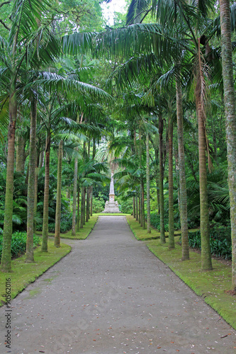 Fototapeta na wymiar Azoren sao miguel portugal 