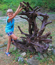 Boy With Interesting Dry Tree
