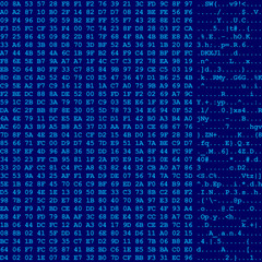 Computer data flow