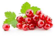 Red Currants Isolated On The White Background