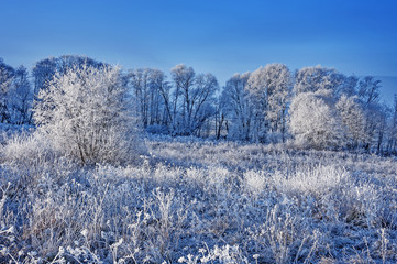 Sticker - frozen landscape