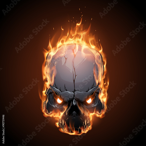 Skull in fire illustration