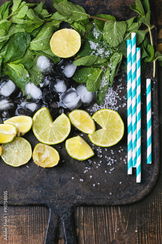 Ingredients for mojito Canvas Print