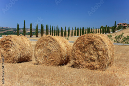 Fototapeta na wymiar Val d'orcia, fieno e cipressi