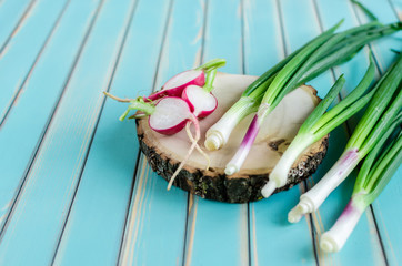 Radish and fresh spring onions on peace of wood on rustic backgr