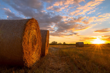 Straw rolls in the field in the summer evening.