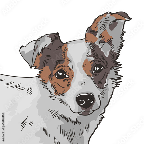 Naklejka dekoracyjna Vector illustration of the dog. black and white