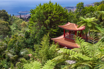 Fototapete - View of Tropical Garden and Funchal City in Monte Palace, Funchal, Madeira